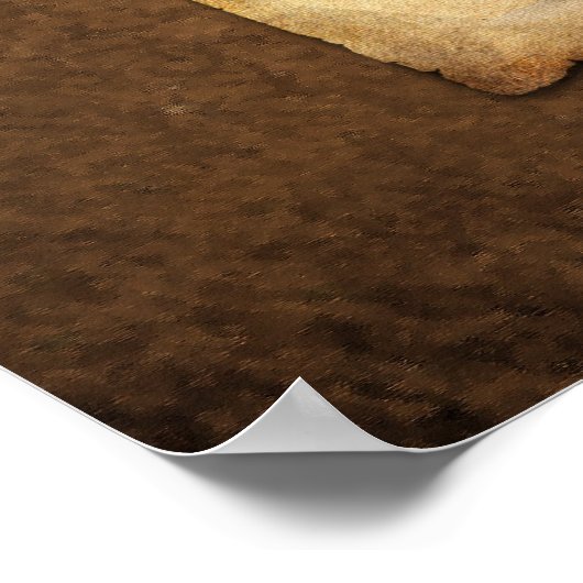 脂肪狂 ポスター (角)