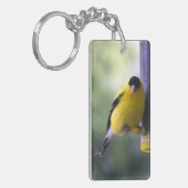 脂肪質のフィンチ キーホルダー (正面左)