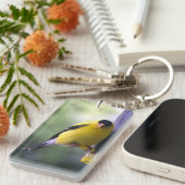 脂肪質のフィンチ キーホルダー (正面右)