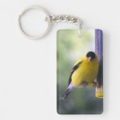 脂肪質のフィンチ キーホルダー (正面)