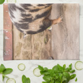 脂肪質のブタ キッチンタオル (折り畳み)