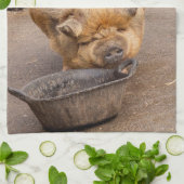 脂肪質のブタ キッチンタオル (折り畳み)