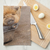 脂肪質のブタ キッチンタオル (四つ折り)