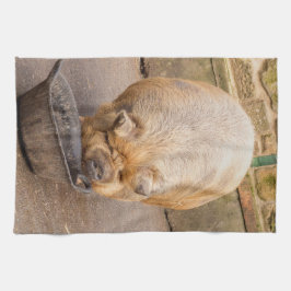 脂肪質のブタ キッチンタオル