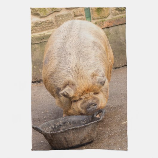 脂肪質のブタ キッチンタオル (縦)