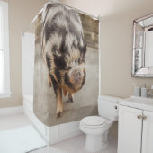 脂肪質のブタ シャワーカーテン (インサイチュ)
