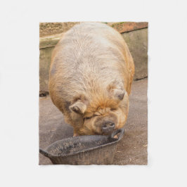 脂肪質のブタ フリースブランケット