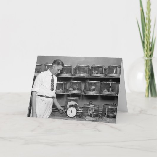 脂肪質のラット、20年代 カード (正面)