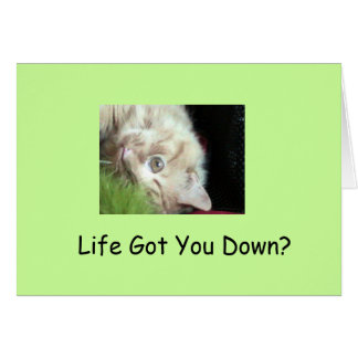 脂肪質の毛皮で覆われた事実