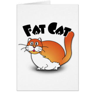 脂肪質猫