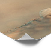 脆弱性 ポスター (角)