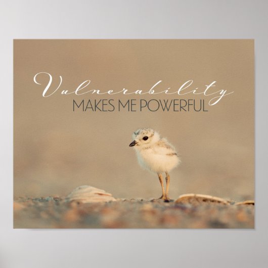 脆弱性 ポスター (正面)