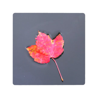 脇に赤い葉 メタルプリント