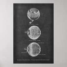 脈絡膜と虹彩のヒト眼解剖学的動脈