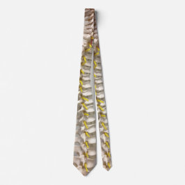 脊柱のタイ ネクタイ