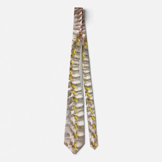 脊柱のタイ ネクタイ (正面)