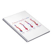 脊柱の脊柱側彎症のタイプ ノートブック (右側)