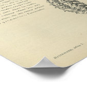 脊柱の説明 ポスター (角)