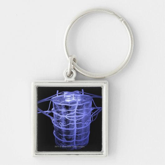 脊柱の部分を囲む動脈 キーホルダー (正面)