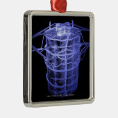 脊柱の部分を囲む動脈 メタルオーナメント (右)
