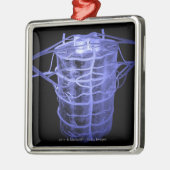 脊柱の部分を囲む動脈 メタルオーナメント (左)