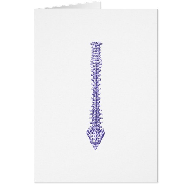 脊柱の青 (正面)