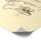 脊柱脊椎解剖骨プリント ポスター (角)