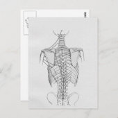 脊柱骨カイロプラクティック ポストカード (正面/裏面)