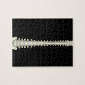 脊柱2 ジグソーパズル (横)