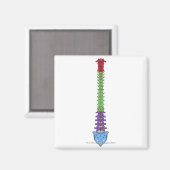 脊柱2 マグネット (正面/裏面)