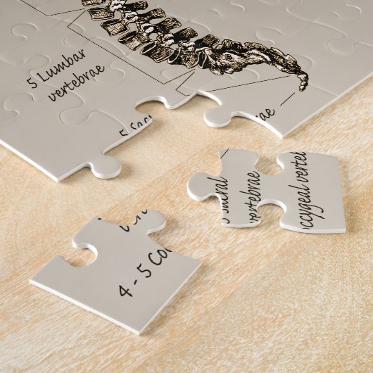 脊柱 ジグソーパズル (側面)