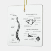 脊柱 セラミックオーナメント (左)