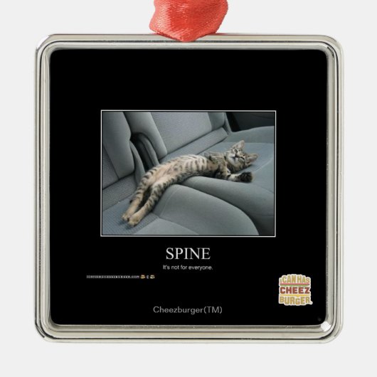 脊柱 メタルオーナメント (正面)