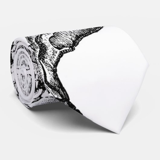 脊柱-ヴィンテージのSteeleの生理学の図表 ネクタイ (ロール)