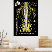 脊椎と脊髄神経のカイロプラクティック図 ポスター (キッチン)