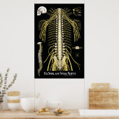 脊椎と脊髄神経のカイロプラクティック ポスター (キッチン)