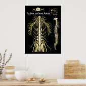 脊椎と脊髄神経のカイロプラクティック ポスター (キッチン)