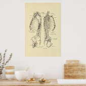 脊椎の人間の骨格断面プリント ポスター (キッチン)