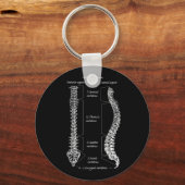 脊椎の詳細 キーホルダー (正面)