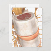 脊椎内の脊椎円板のクローズアップ ポストカード (正面/裏面)