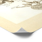 脊椎解剖図ポスター ポスター (角)