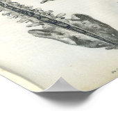 脊椎解剖学プリント ポスター (角)