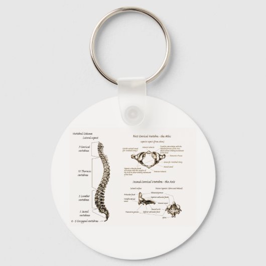 脊椎詳細セピア キーホルダー (正面)