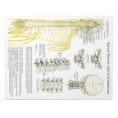 脊髄神経の亜脱臼がパッドを破る ノートパッド (正面)