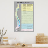 脊髄神経機能ポスターカイロプラクティック ポスター (キッチン)