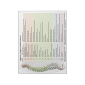 脊髄脱臼の効果メモ帳 ノートパッド (回転)