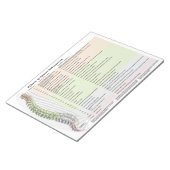 脊髄脱臼の効果メモ帳 ノートパッド (アングル)