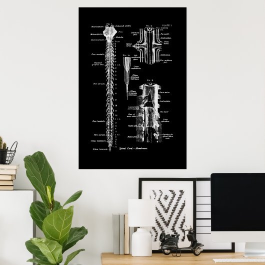 脊髄解剖学の膜 ポスター (ホームオフィス)