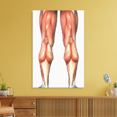 脚の筋肉グループを示す図 キャンバスプリント (インサイチュ (リビング))