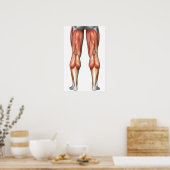 脚の筋肉グループを示す図 ポスター (キッチン)